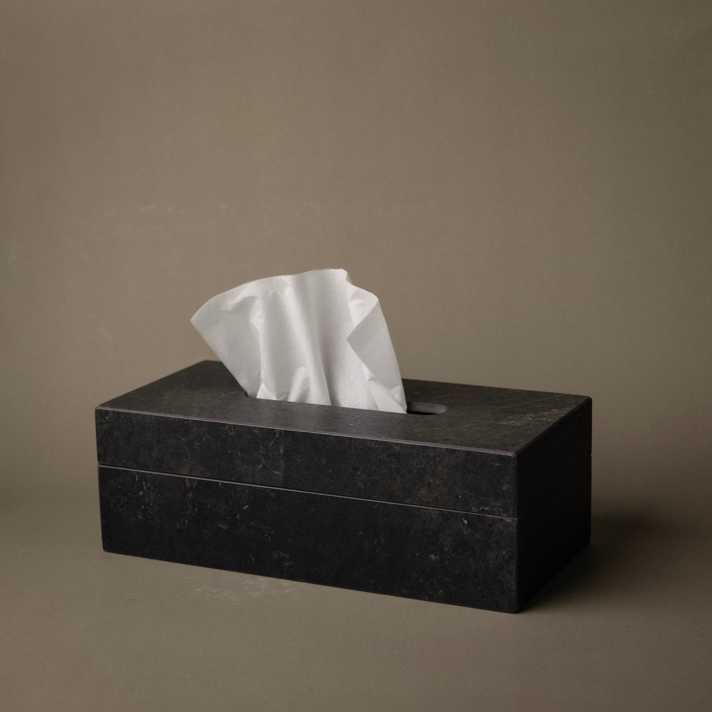 Tissue Holder
